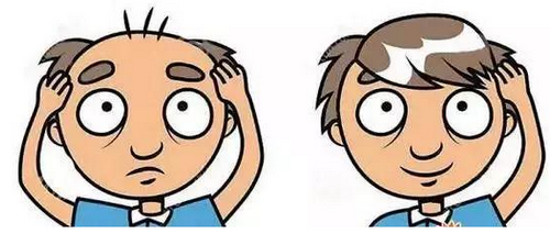 2021-10-22_113616.jpg 2021-10-22_113616.jpg